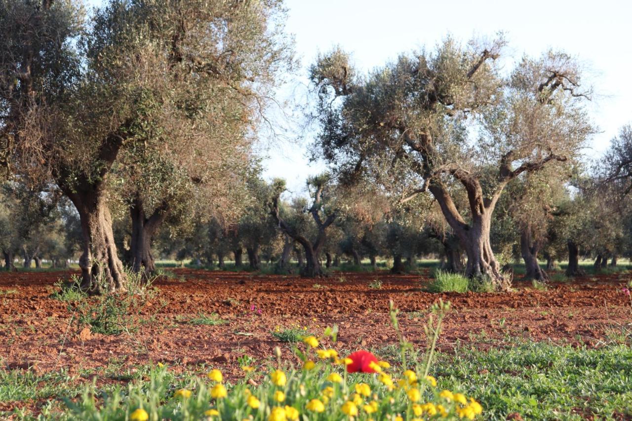 B&B Passione Del Sud เลชเช ภายนอก รูปภาพ